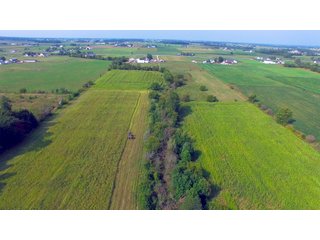 Allen County, Indiana Farmstead - FARMSTEAD AUCTION - 41+/- ACRES IN 4 TRACTS IN ALLEN COUNTY, INDIANA